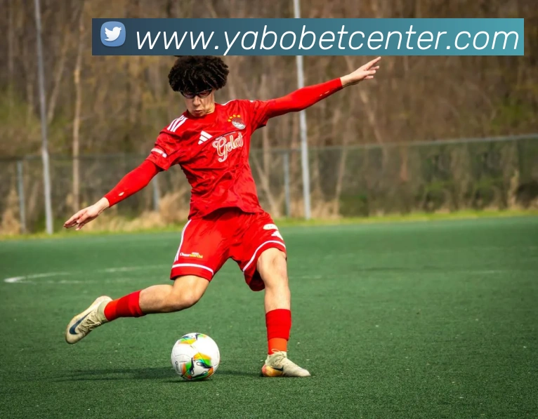 亚博体育APP 封面图